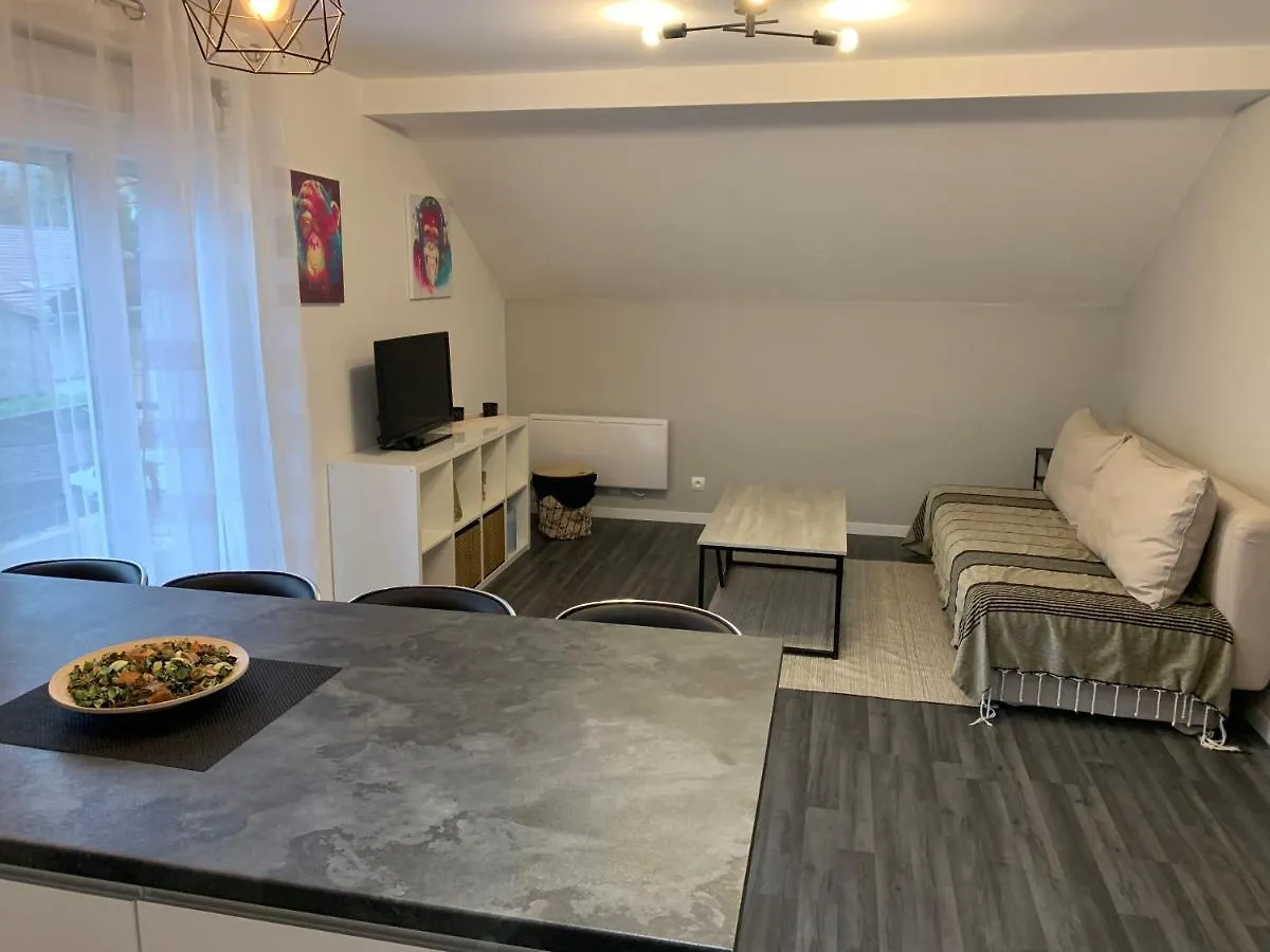 Coquet Appartement Aux Pieds Des Montagnes Scionzier 프랑스